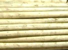 125mm - Pine Logs CCA Treated