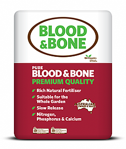 Blood-&-Bone